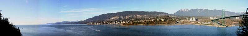 The whole view from Prospect Point lookout