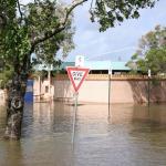 Noosa River at Tewantin...toilet stop anyone?