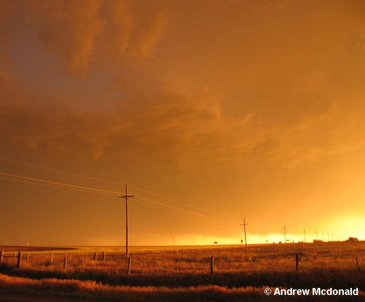 Panhandle Magic.jpg