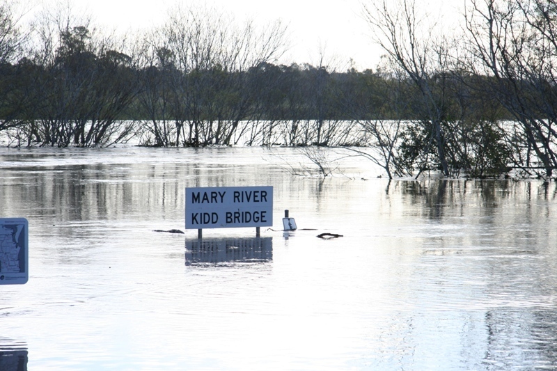 Mary River - Gympie