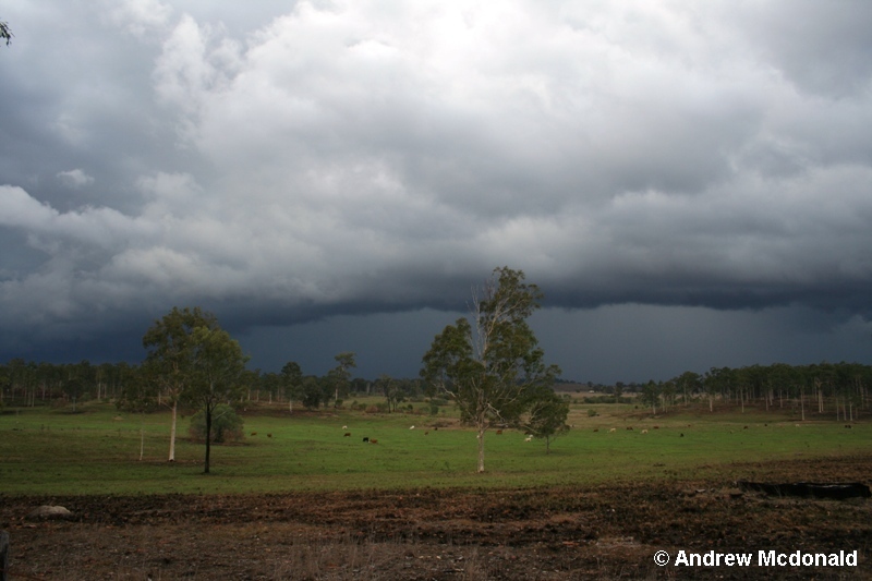 W of Maryborough.JPG