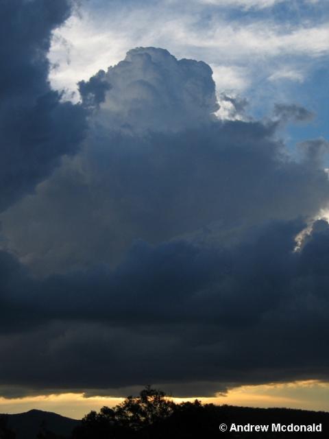 26-11-05am 048.jpg