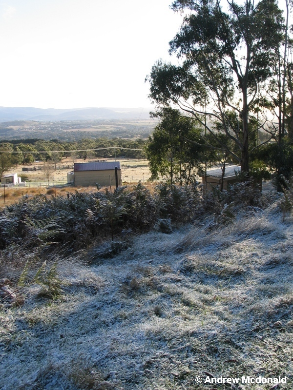 Mt Gisborne - 500m ASL