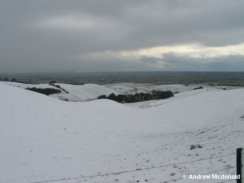 Looking SE towards Bass Strait (250m ASL).