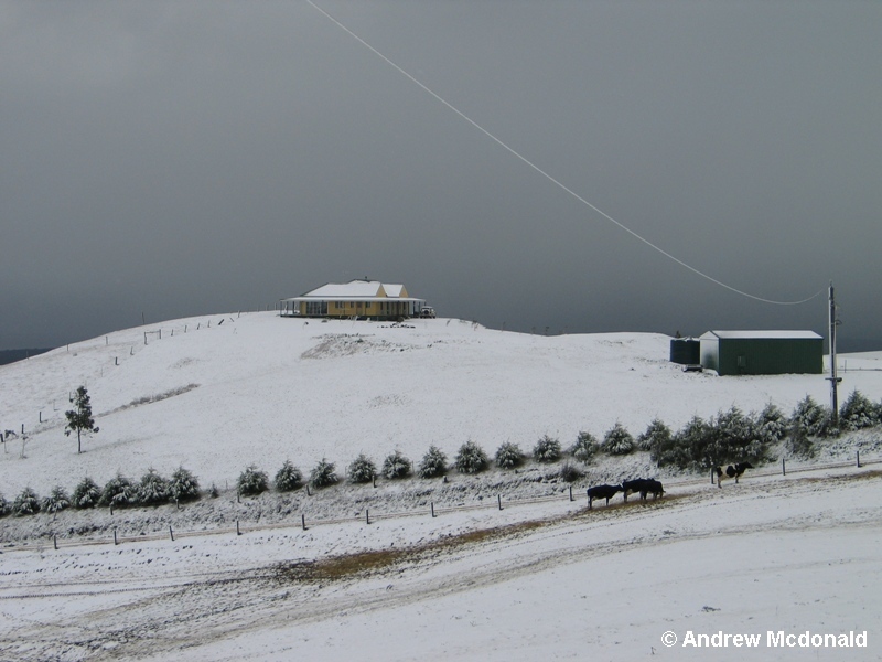 I'll bet these folks never thought they'd have views of the ocean and the snow (250m ASL).