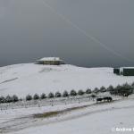 I'll bet these folks never thought they'd have views of the ocean and the snow (250m ASL).