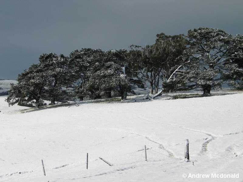 200m ASL - looks like an alpine scene.