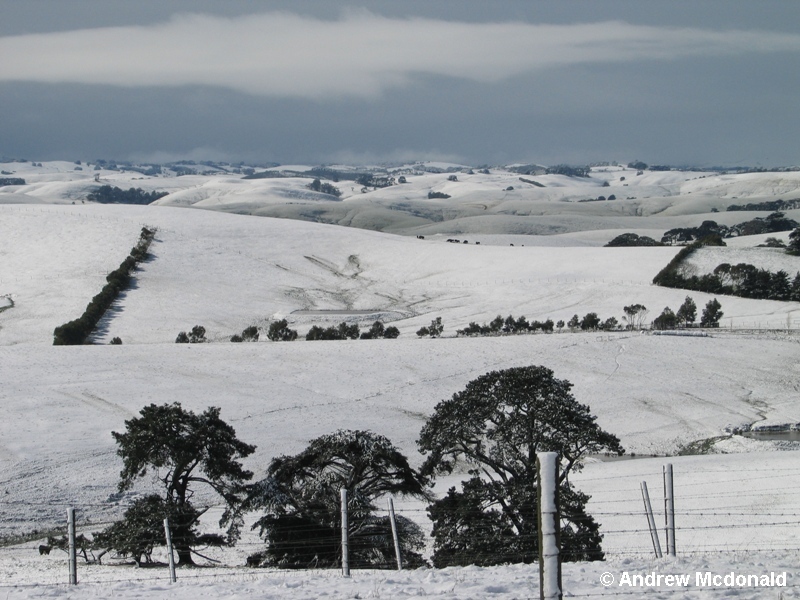 The snow stretched right through the La Trobe Valley.