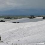 Ocean in the background with snow on the surrounding Bass hills.