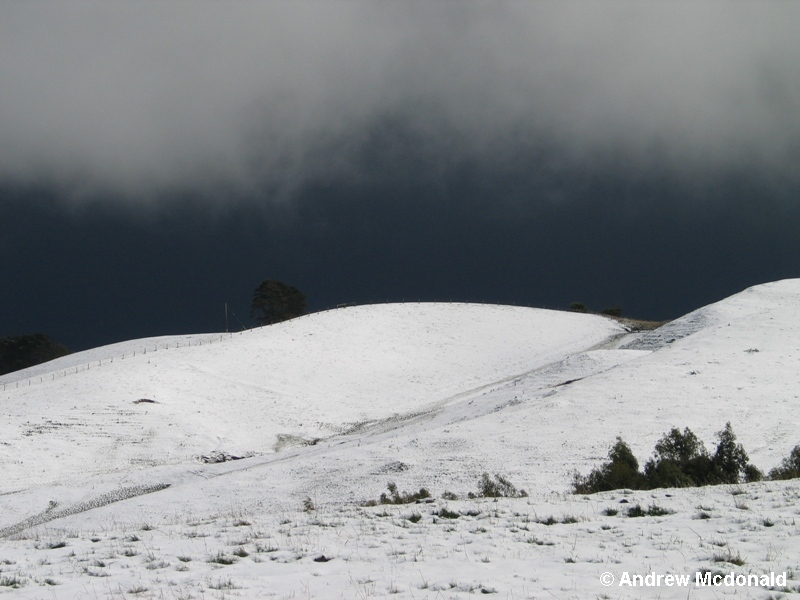 Black & white...storm over snow.