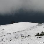 Black & white...storm over snow.