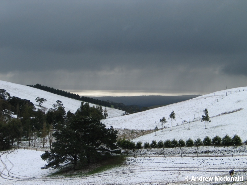 Western Port Bay glistens behind an approaching snow shower.