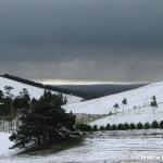 Western Port Bay glistens behind an approaching snow shower.