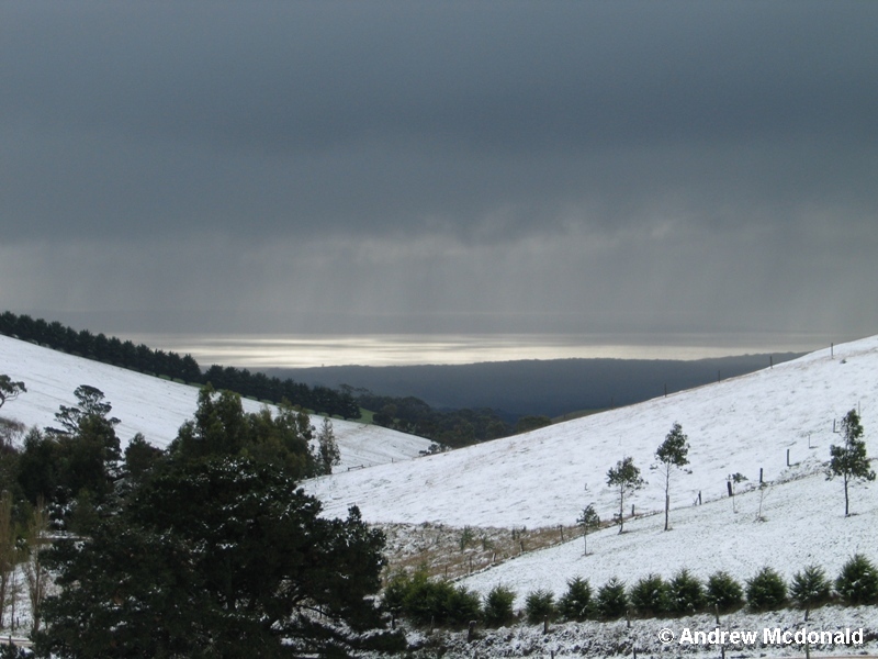 Glistening white.