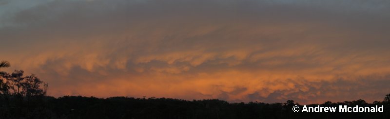 Mammatus Pan.jpg