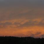 Mammatus Pan.jpg