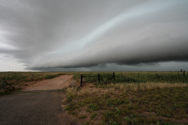 Looking south along the guster.  Andrews, Texas.