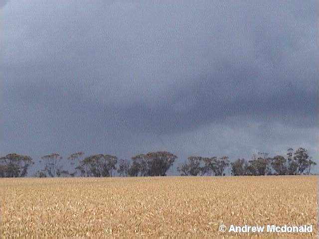 11 November Funnel 2a.jpg