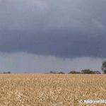 11 November Funnel 4.jpg