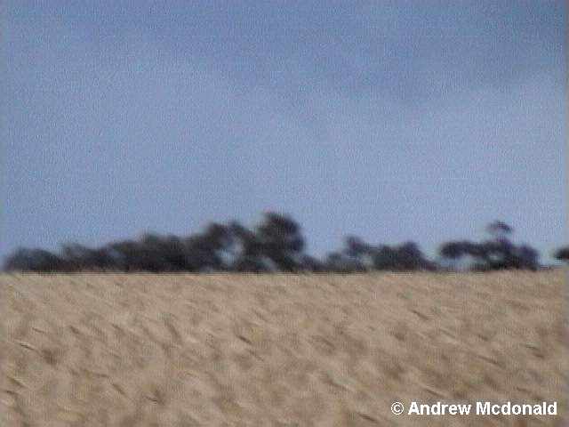 11 November Tornado-Funnel5.jpg