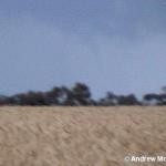 11 November Tornado-Funnel5.jpg