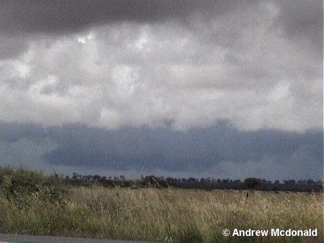 11 November Lowering 2.jpg