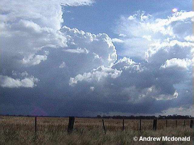 11 November BIG CELL FLANK.jpg