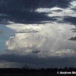 TDU2K 181100am14.jpg