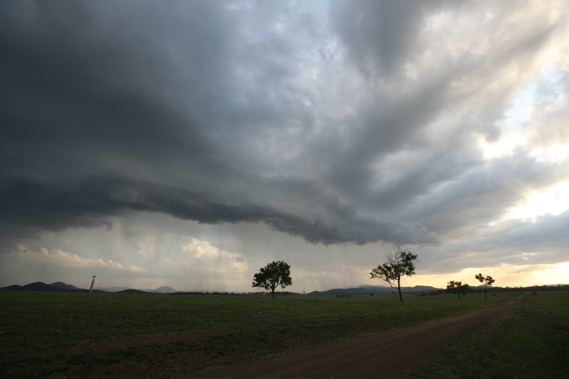 Between Woolooga and Biggenden