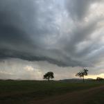 Between Woolooga and Biggenden