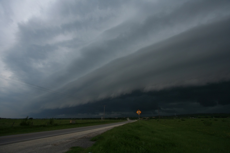 What a shelfie!!  Near Graham, Tx.