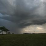 Between Woolooga and Biggenden