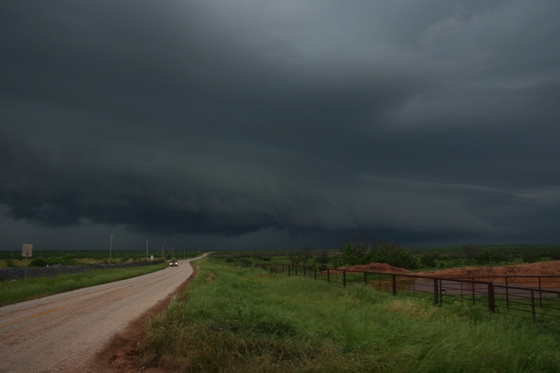 Another shelfie!  This place just breeds them.  S of Wichita Falls, Tx.