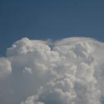 An attempt at some pileus near St Jo, Tx.