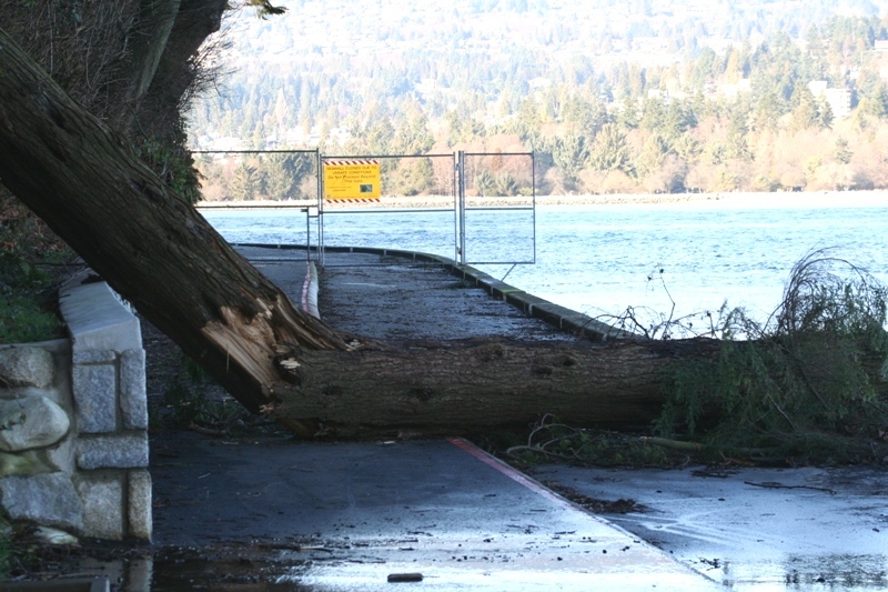 More damage - this path has been closed for 2 months 