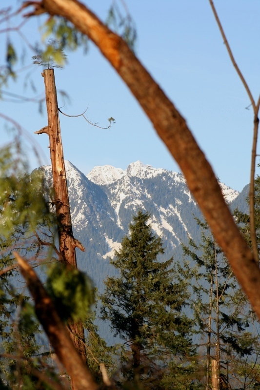 View of the mountains through the destruction...