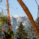 View of the mountains through the destruction...