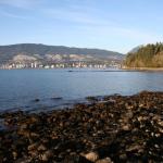 The seawall promenade is very popular with locals and tourists...its not hard to see why