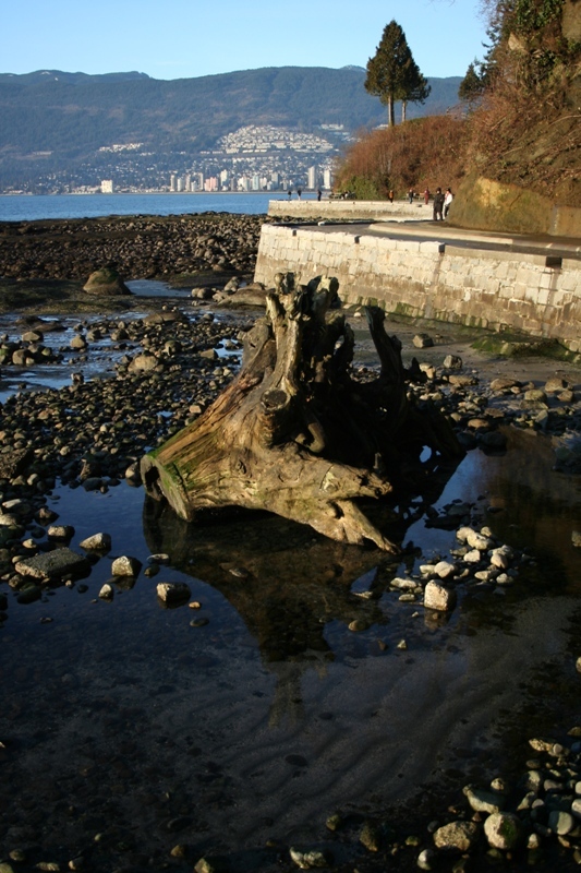 The picturesque seawall promenade