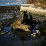 The picturesque seawall promenade