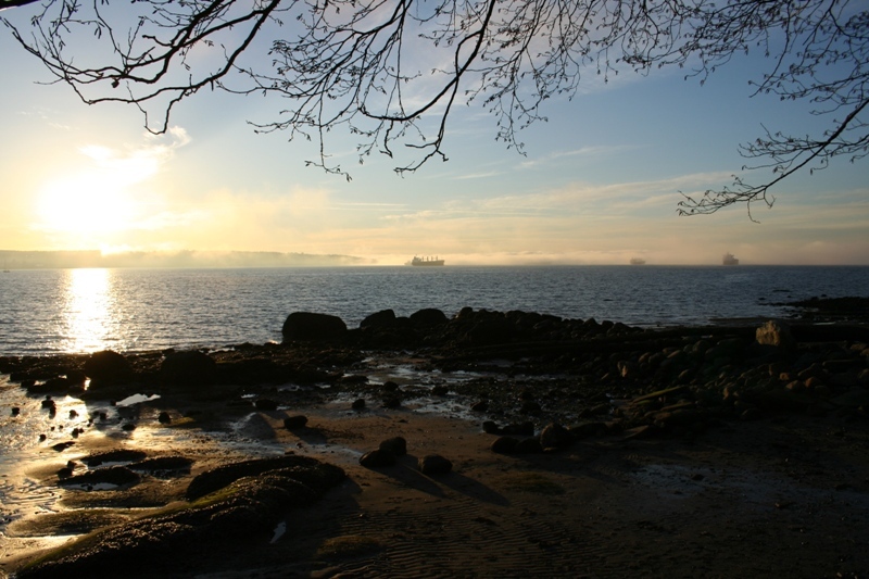 Ships anchored off English Bay in the late (early? 4pm) afternoon sun...