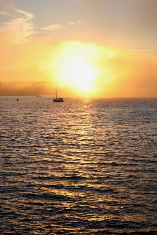 As the sun sinks into the fog over English Bay it turns into a bloom of fluorescent light