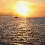 As the sun sinks into the fog over English Bay it turns into a bloom of fluorescent light