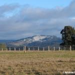 Snow dusting on another hill NW of Melbourne.  450m ASL.