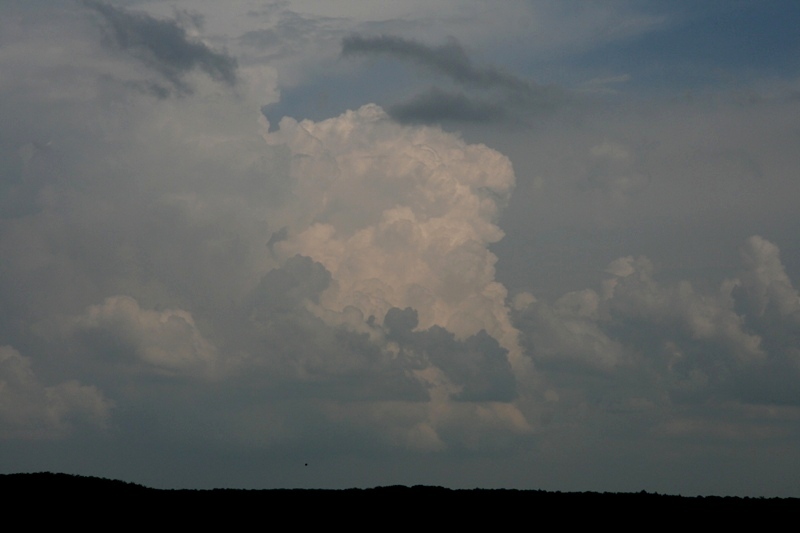 With the upper level low sitting over us, the updrafts were quite crisp.  Looking east from near St Jo, Tx.